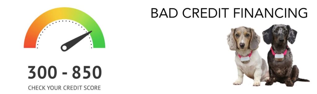bad credit financing, check your credit score